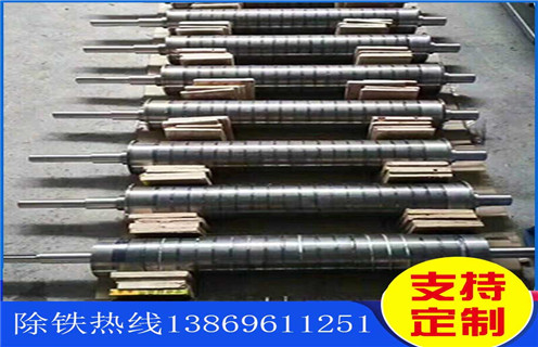 浙江永磁辊式AB（中国）